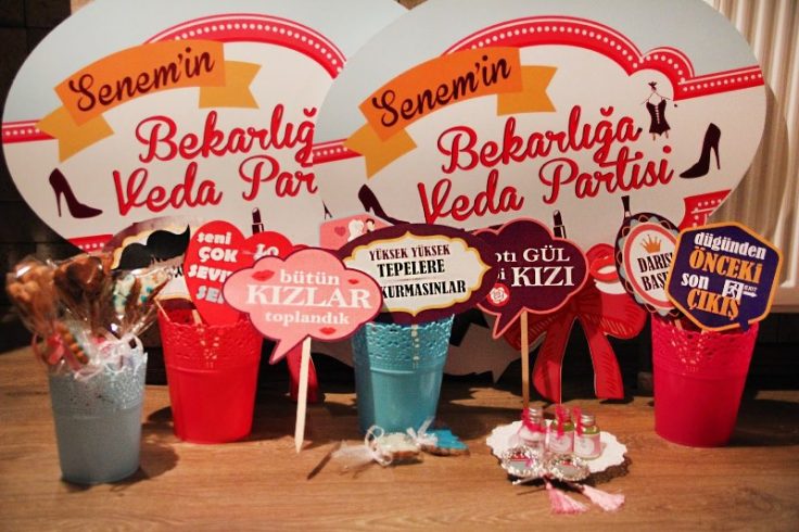 BEKARLIĞA VEDA PARTİSİ